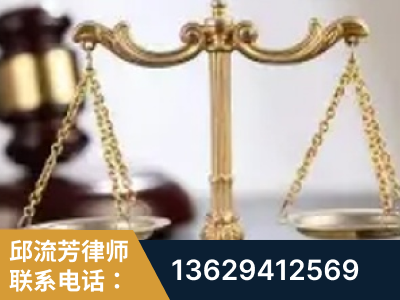 定州-委托诉讼代理人出庭